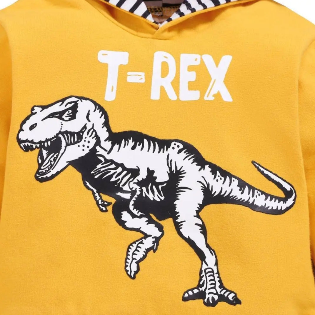 T Rex tracksuit for boys