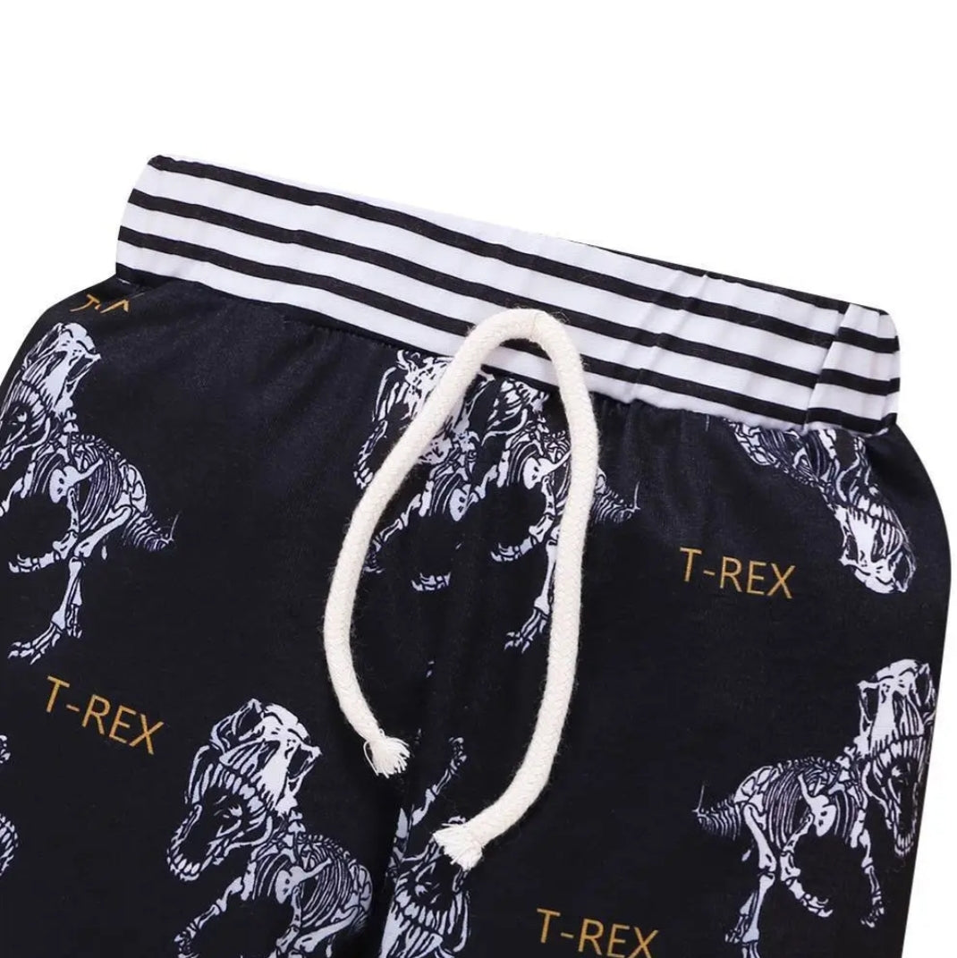 T Rex tracksuit for boys