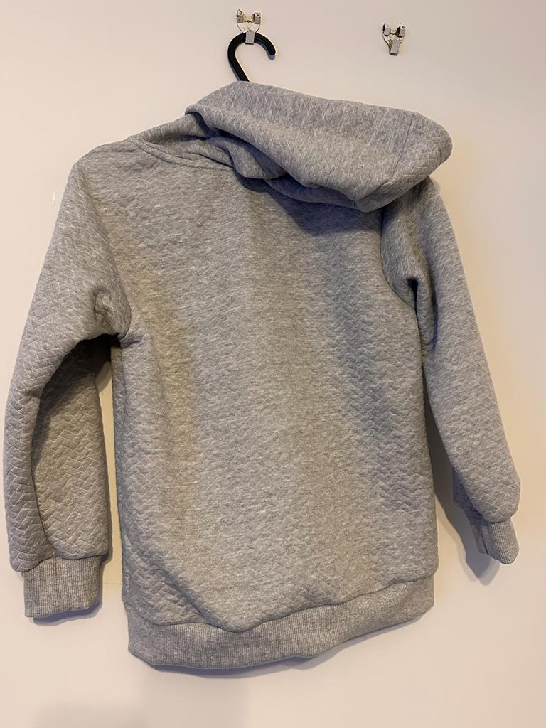 Grey Hooded Sweat Suit Boys